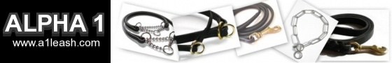Alpha 1 Leather Leash and Collar
